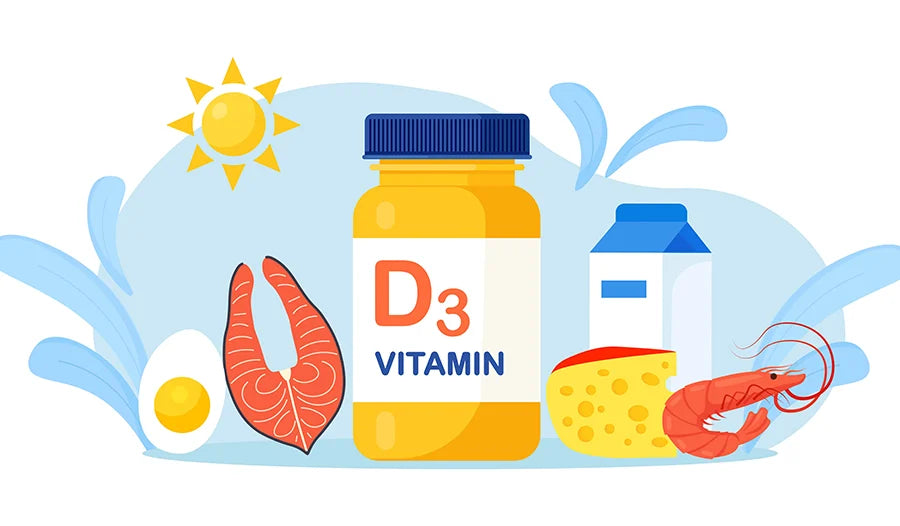 Ilustração de suplemento vitamina D3, alimentos ricos em vitamina D, sol, ovo, peixe, queijo, leite e camarão.