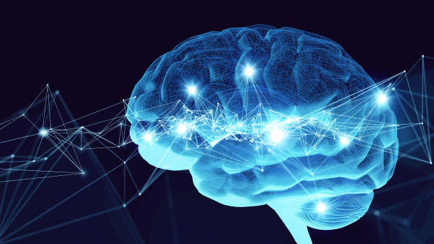 Ilustração de cérebro humano com conexões neurais destacadas, conceito de saúde cognitiva.