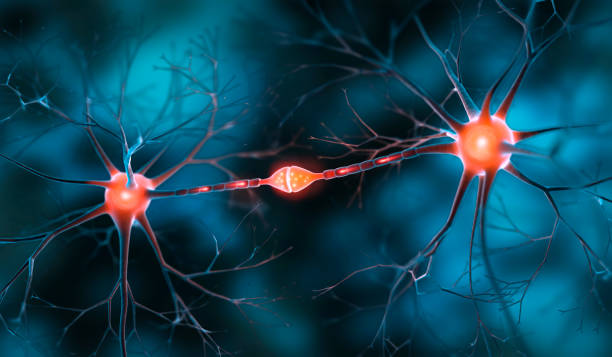 Ilustração de neurônios conectados em fundo azul, conceito de foco e concentração cerebral