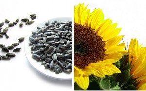 Os 8 melhores alimentos que ajudam a aumentar a capacidade mental na academia - NutriVita