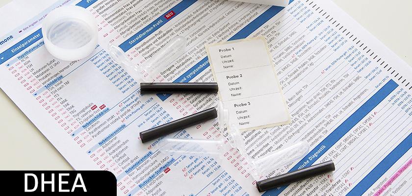 Tudo que você precisa saber sobre o DHEA - NutriVita