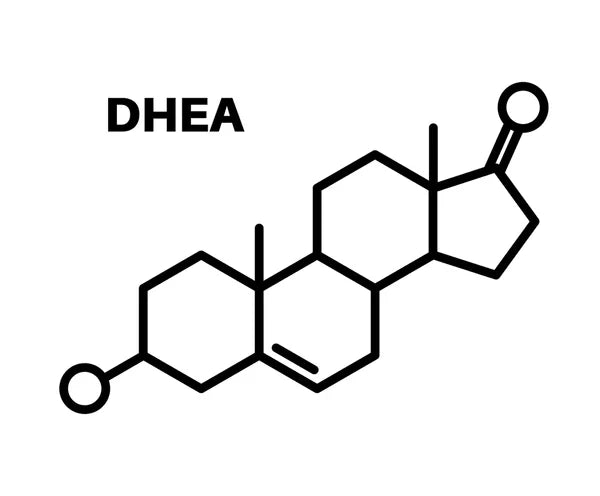 Fórmula estrutural do DHEA em preto, suplemento hormonal, fundo branco.