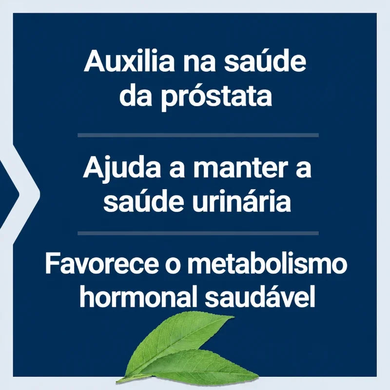 Life Extension PalmettoGuard Saw Palmetto: suporte à saúde da próstata, à saúde urinária e ao metabolismo hormonal saudável.
